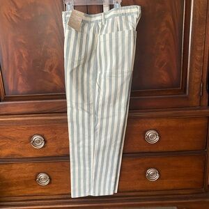 Madewell New Women's Striped Blue and White Great Stylish trending Jeans.